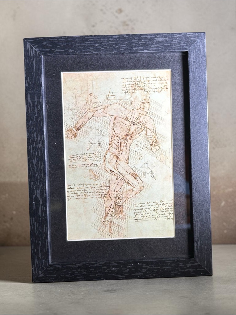 Renaissance Anatomy Study Framed Wall Art 5x7 Dark Academia